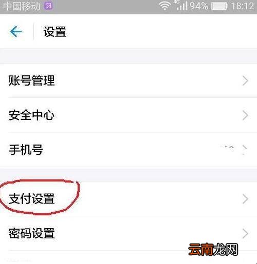 支付宝50元内免密支付怎么关闭