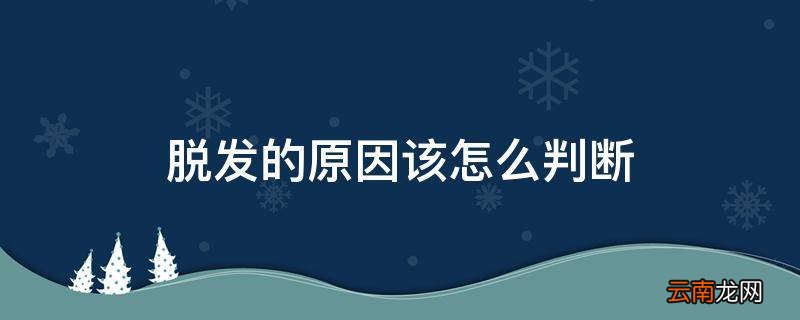 脱发的原因该怎么判断