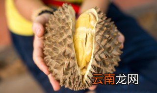 冷冻榴莲肉可以放多久 冷冻榴莲肉能放多久
