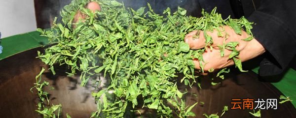 乌龙茶是什么茶 乌龙茶属于什么茶