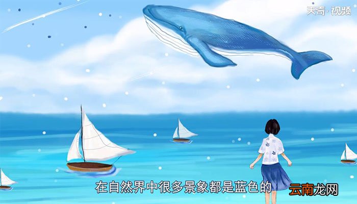 蓝色代表什么蓝色的意义