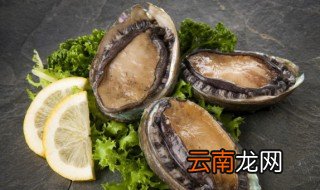 速冻熟鲍鱼怎么做好吃 熟冻小鲍鱼怎么做好吃