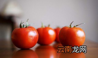 冻西红柿怎么做好吃,冻西红柿怎么做好吃视频