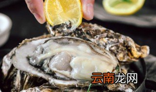 微波炉可以烤生蚝吗，生蚝能微波炉烤吗