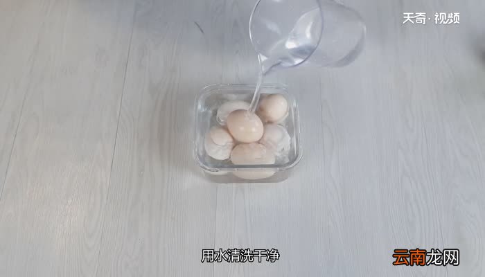 做实蛋6个蛋放多少水 做6个实蛋需要的比例