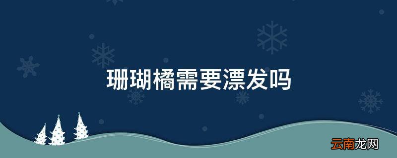 珊瑚橘需要漂发吗