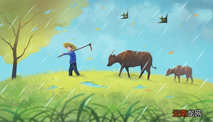 谷雨是什么意思呢 谷雨气候特点