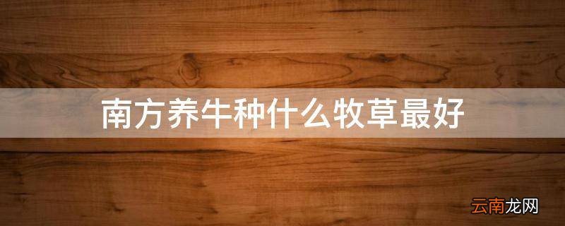 南方养牛种什么牧草最好