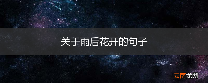 关于雨后花开的句子