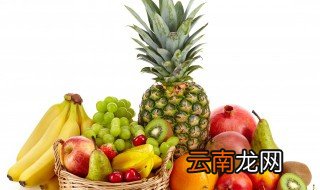 菠萝蜜能不能放冰箱保鲜 整个菠萝蜜能放保鲜冰箱吗