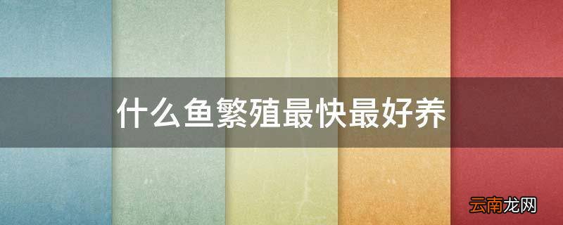 什么鱼繁殖最快最好养