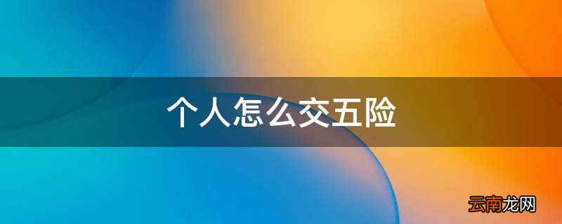 个人怎么交五险
