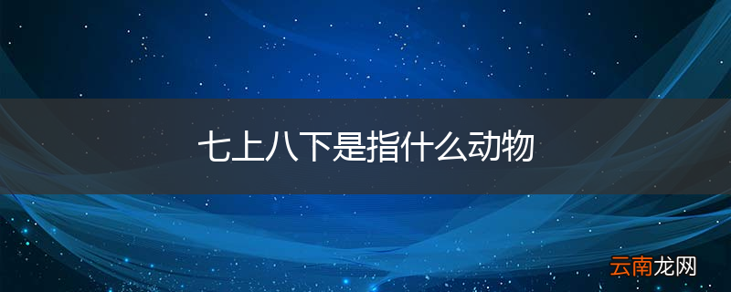 七上八下是指什么动物