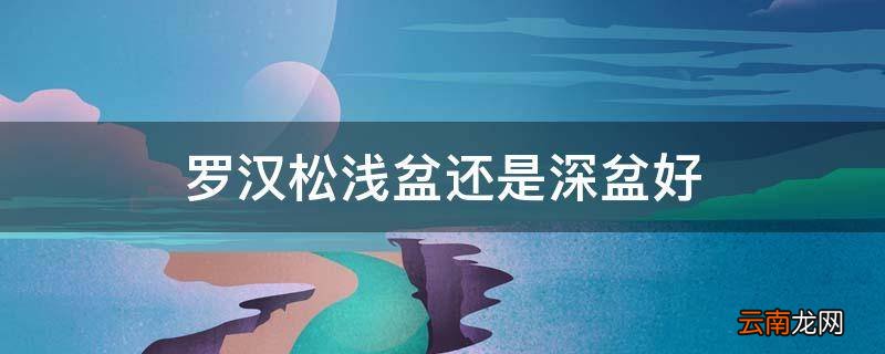 罗汉松浅盆还是深盆好