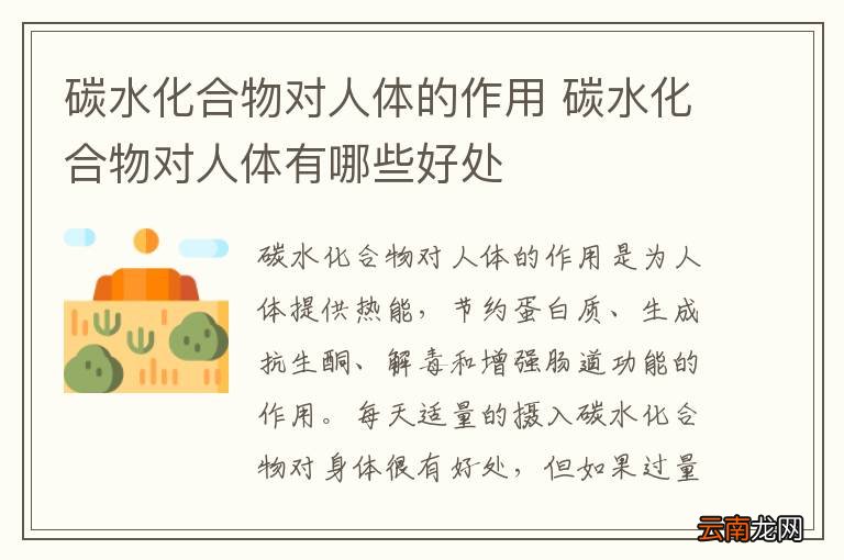 碳水化合物对人体的作用 碳水化合物对人体有哪些好处