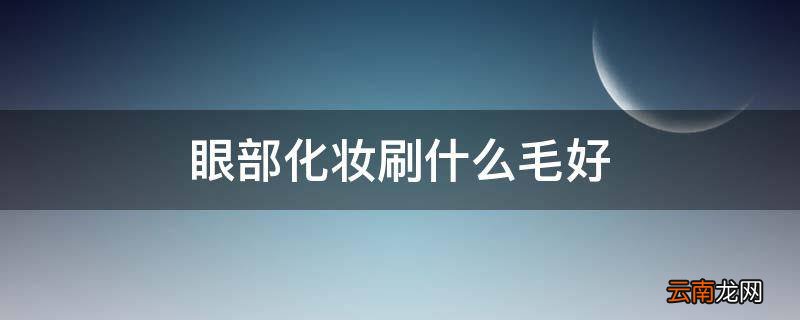 眼部化妆刷什么毛好