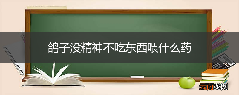 鸽子没精神不吃东西喂什么药
