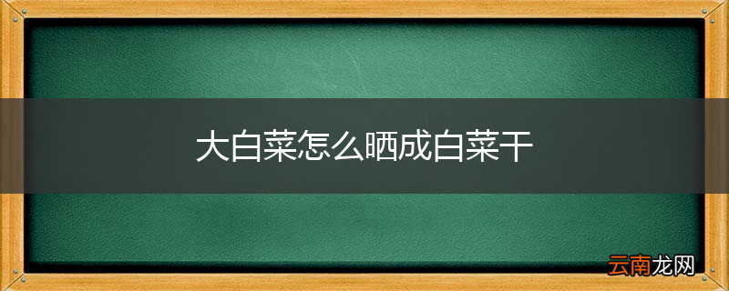 大白菜怎么晒成白菜干