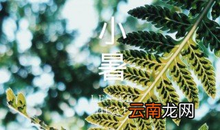 小暑的拼音 小暑古诗拼音版
