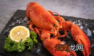 小龙虾在家里怎么养放多少水 小龙虾在家里怎么养
