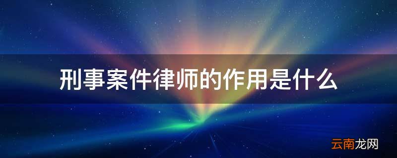 刑事案件律师的作用是什么