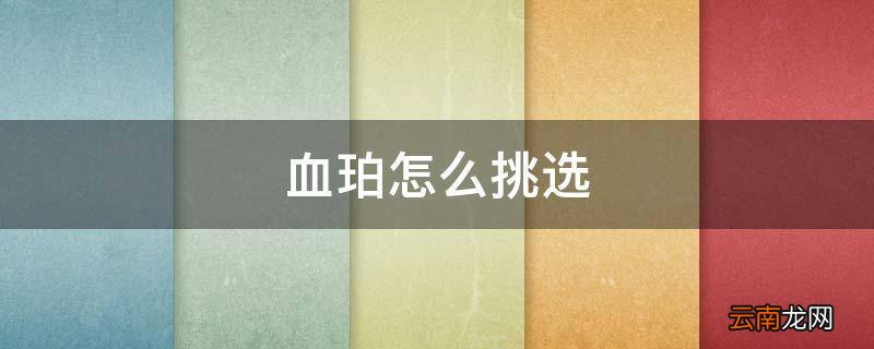 血珀怎么挑选