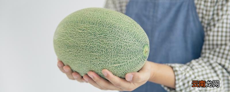 哈密瓜需要放冰箱保存吗 哈密瓜怎么存放时间长一点!
