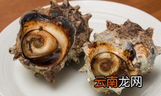 海螺汁怎么调 海螺汁怎么调最好吃