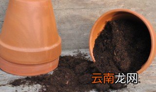 发酵好的羊粪可以直接养花吗 羊粪家里养花怎么发酵