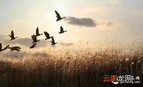 无论你是谁 , 请远离这两个人!