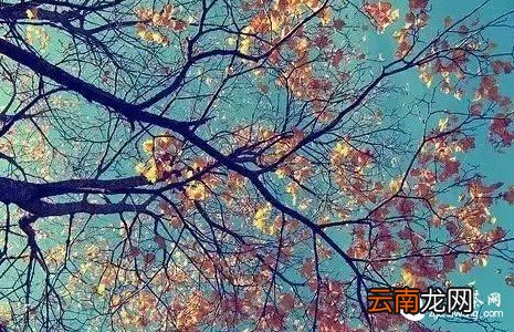 无论你是谁 , 请远离这两个人!