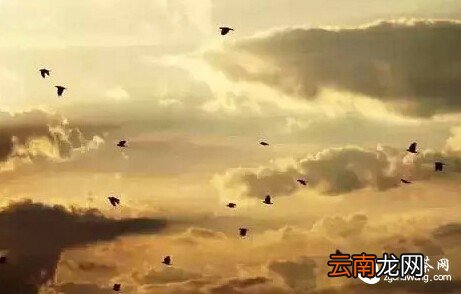 无论你是谁 , 请远离这两个人!