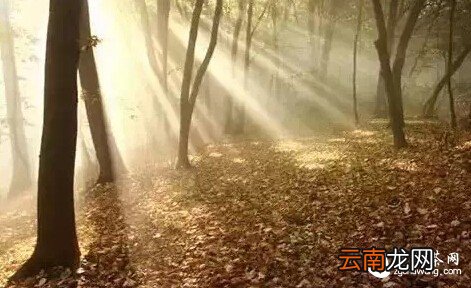 无论你是谁 , 请远离这两个人!