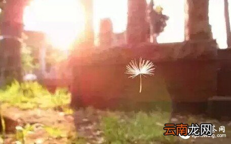 无论你是谁 , 请远离这两个人!