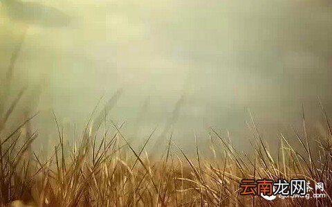 无论你是谁 , 请远离这两个人!