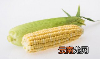 煮玉米多长时间最好 煮玉米多长时间最好吃