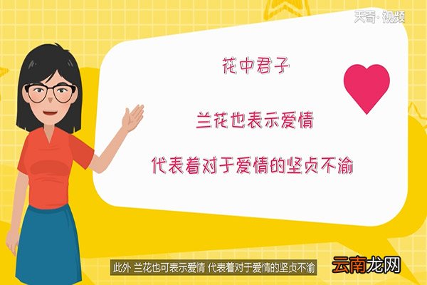 花中君子是什么花