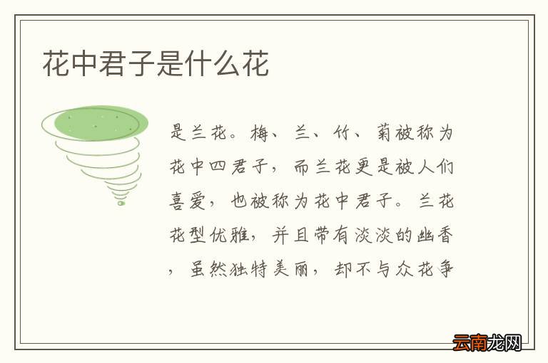 花中君子是什么花
