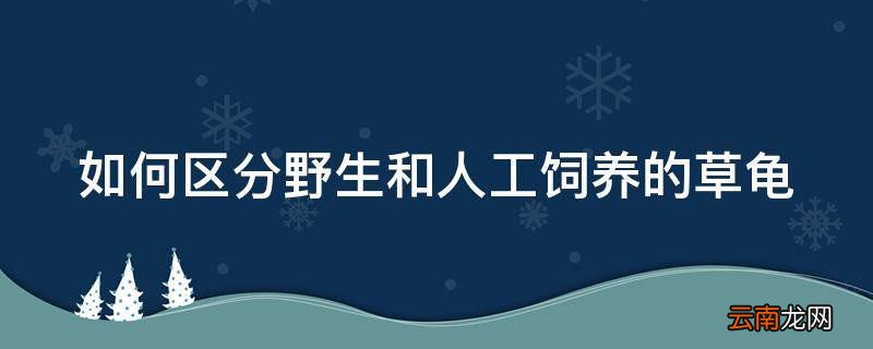 如何区分野生和人工饲养的草龟
