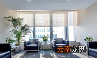 富贵竹水养变黄怎么办 富贵竹水养发黄怎么办