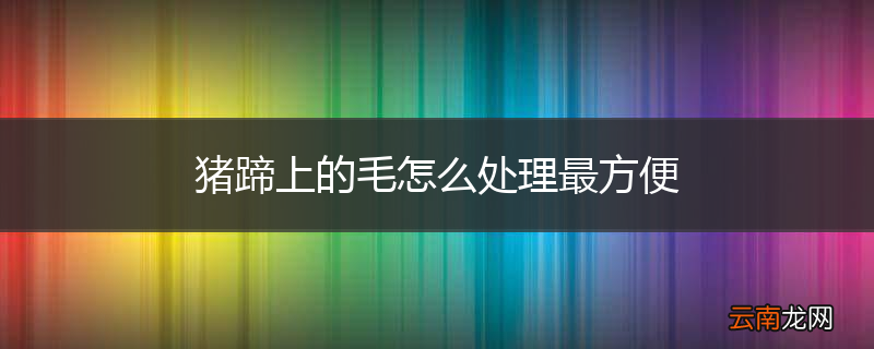 猪蹄上的毛怎么处理最方便