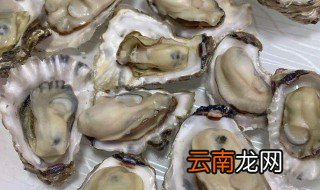 海蛎子开锅煮多长时间，海蛎子开锅煮多长时间可以吃