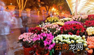 阳台养花好吗? 家里阳台养花怎么样