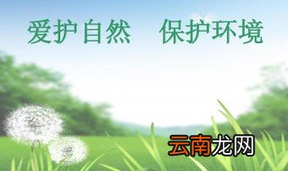爱护和保护的区别 爱护和保护的区别是什么
