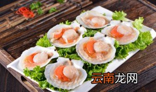 怎么养扇贝需要什么水，怎样养扇贝