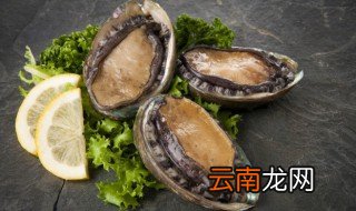 鲍鱼煮多长时间为宜 鲍鱼煮多长时间合适
