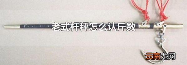 老式杆秤怎么认斤数
