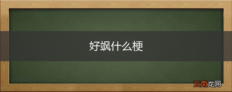 好飒什么梗
