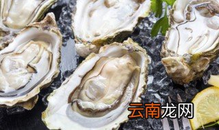 生蚝可以直接放微波炉烤吗 生蚝可以用微波炉烤吗