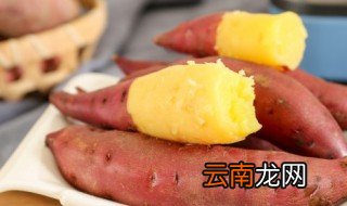 地瓜得煮多长时间能熟 地瓜得煮多长时间能熟透